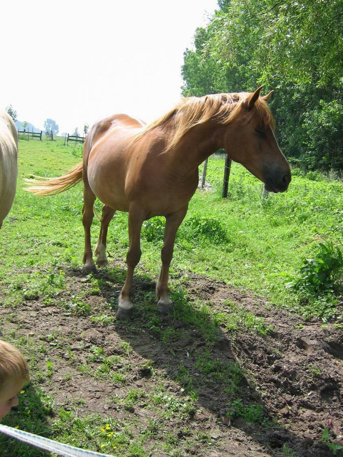 Bulles Et Natures Bed & Breakfast *